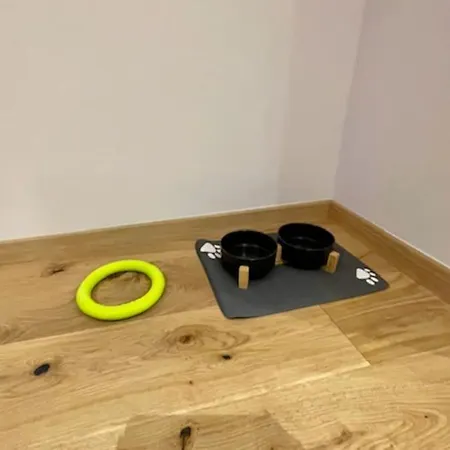 Moderne Stadtwohnung Naehe Stadthalle 公寓 格拉茨