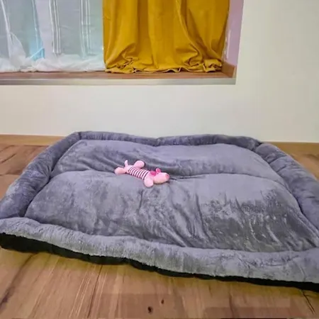 Moderne Stadtwohnung Naehe Stadthalle